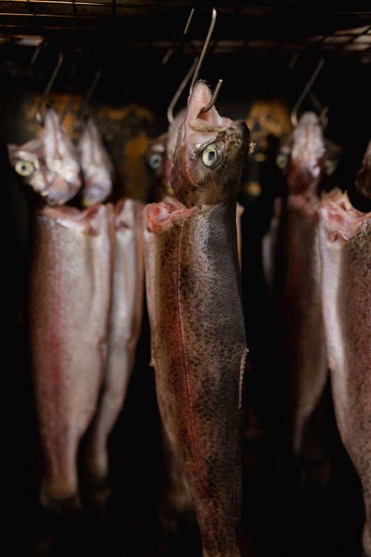 How To Make Smoked Rainbow Trout